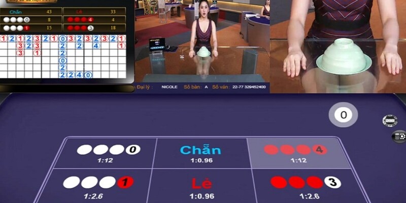 Chia sẻ bí quyết cá cược từ cao thủ