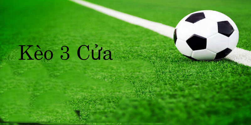 Khái quát dữ liệu về khái niệm cược 3 cửa