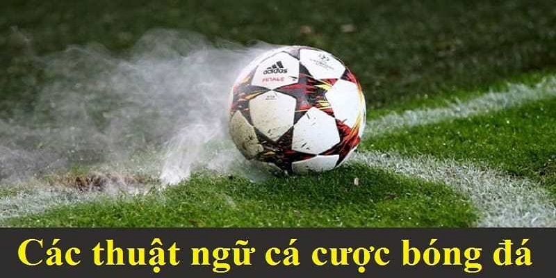 Những điều cần chú ý khi áp dụng thuật ngữ