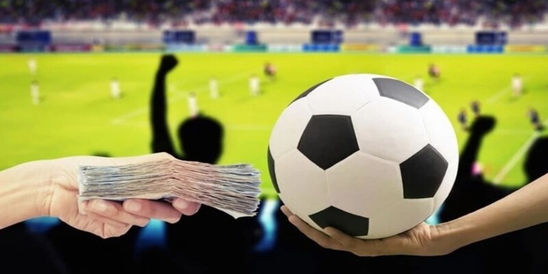 Tổng quát về cá cược thể thao vua