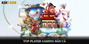 Top Player Gaming Bắn Cá